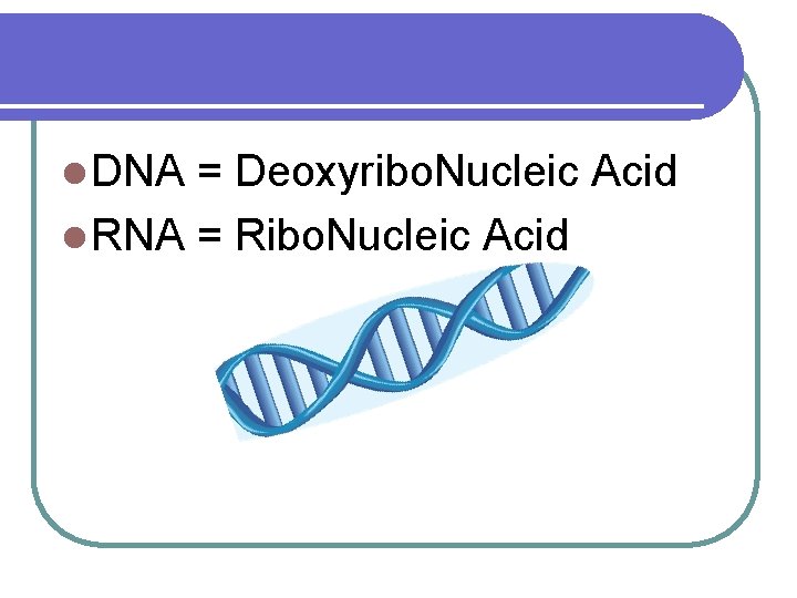 l DNA = Deoxyribo. Nucleic Acid l RNA = Ribo. Nucleic Acid 