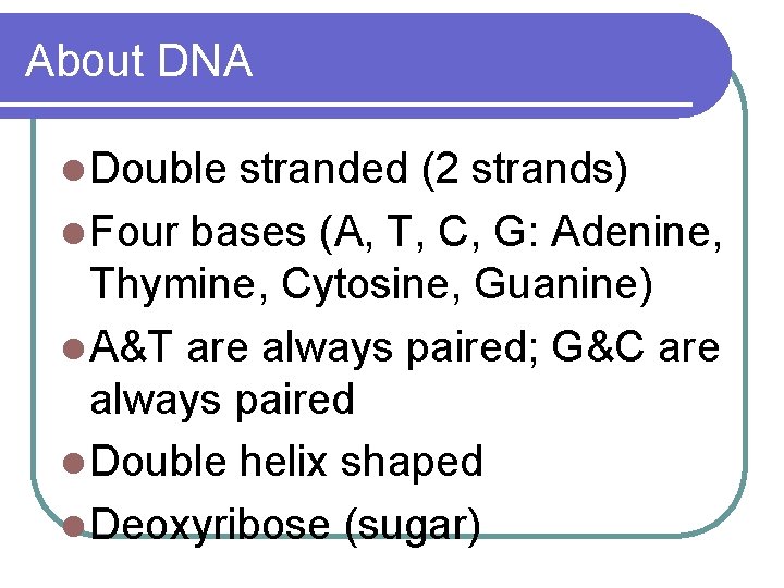 About DNA l Double stranded (2 strands) l Four bases (A, T, C, G: