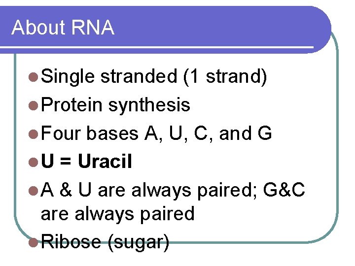 About RNA l Single stranded (1 strand) l Protein synthesis l Four bases A,