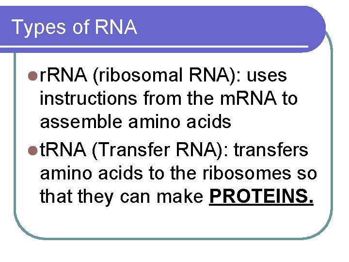 Types of RNA l r. RNA (ribosomal RNA): uses instructions from the m. RNA