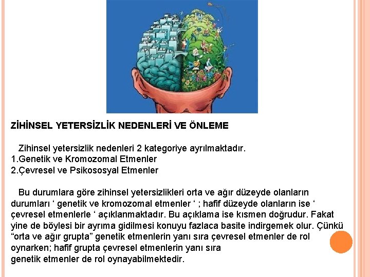 ZİHİNSEL YETERSİZLİK NEDENLERİ VE ÖNLEME Zihinsel yetersizlik nedenleri 2 kategoriye ayrılmaktadır. 1. Genetik ve