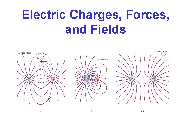 Electric Charges, Forces, and Fields 