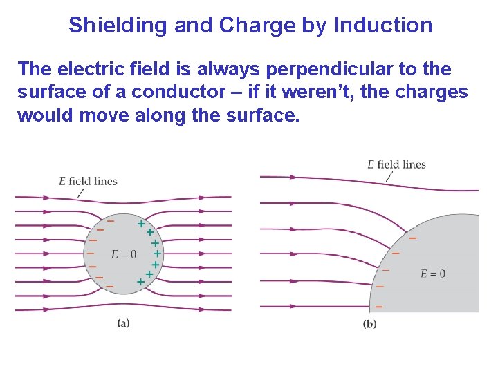 Shielding and Charge by Induction The electric field is always perpendicular to the surface