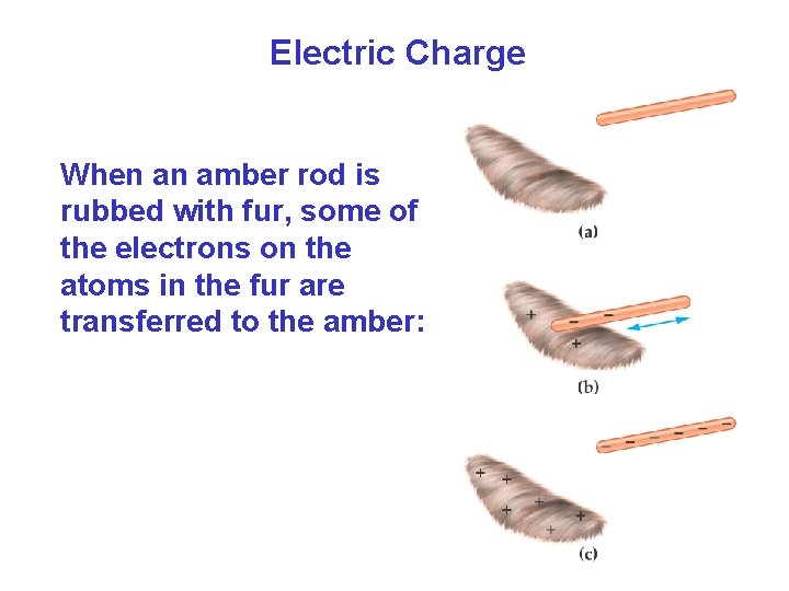 Electric Charge When an amber rod is rubbed with fur, some of the electrons