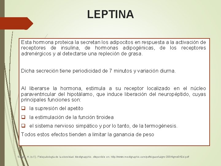 LEPTINA Esta hormona proteica la secretan los adipocitos en respuesta a la activación de