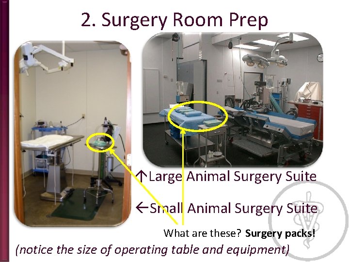 2. Surgery Room Prep Large Animal Surgery Suite Small Animal Surgery Suite What are