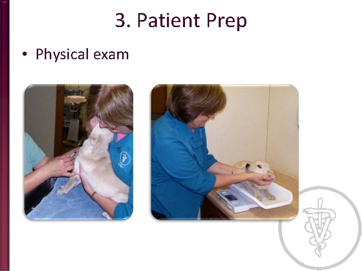 3. Patient Prep • Physical exam 