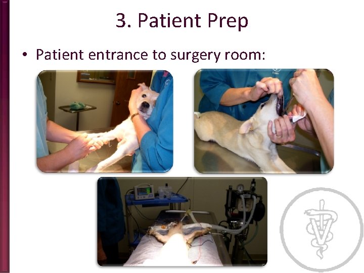 3. Patient Prep • Patient entrance to surgery room: 