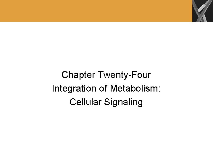 Chapter Twenty-Four Integration of Metabolism: Cellular Signaling 