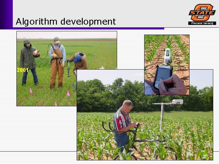 Algorithm development 2001 