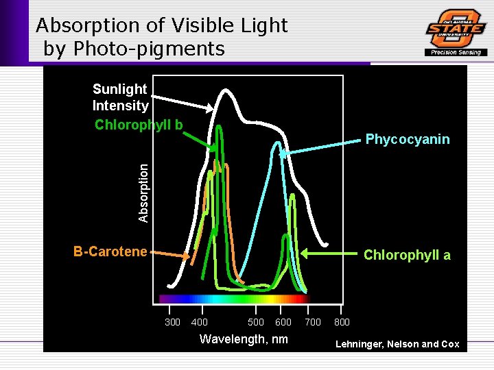 Absorption of Visible Light by Photo-pigments Sunlight Intensity Chlorophyll b Absorption Phycocyanin B-Carotene Chlorophyll