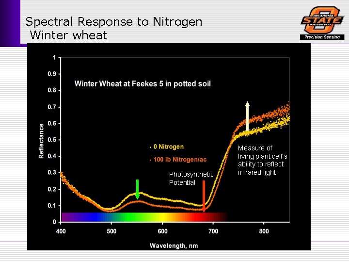 Spectral Response to Nitrogen Winter wheat Photosynthetic Potential Measure of living plant cell’s ability