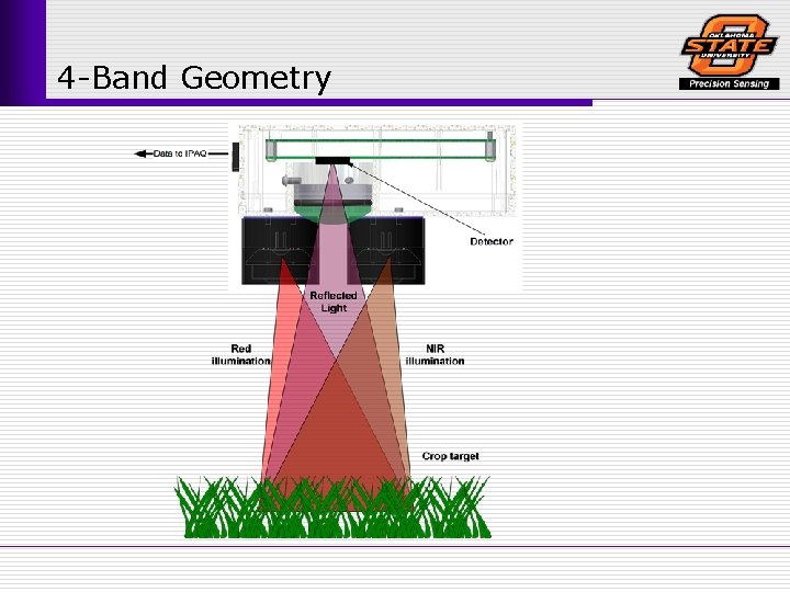4 -Band Geometry 