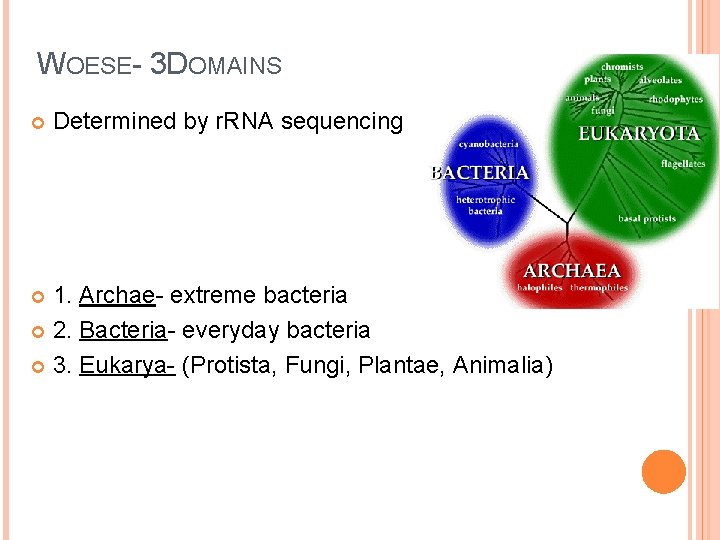 WOESE- 3 DOMAINS Determined by r. RNA sequencing 1. Archae- extreme bacteria 2. Bacteria-