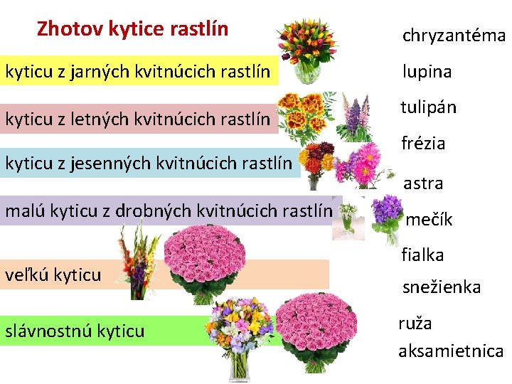 Zhotov kytice rastlín kyticu z jarných kvitnúcich rastlín kyticu z letných kvitnúcich rastlín kyticu