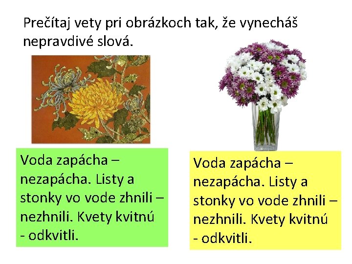 Prečítaj vety pri obrázkoch tak, že vynecháš nepravdivé slová. Voda zapácha – nezapácha. Listy Prečítaj vety pri obrázkoch tak, že vynecháš nepravdivé slová. Voda zapácha – nezapácha. Listy