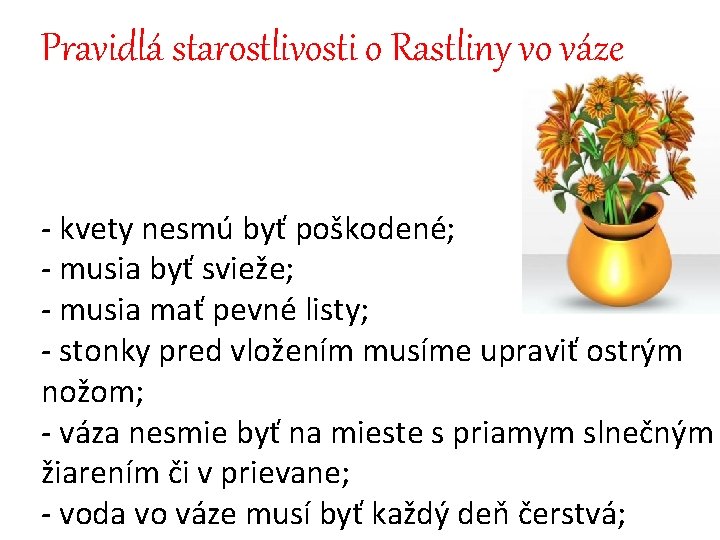 Pravidlá starostlivosti o Rastliny vo váze - kvety nesmú byť poškodené; - musia byť