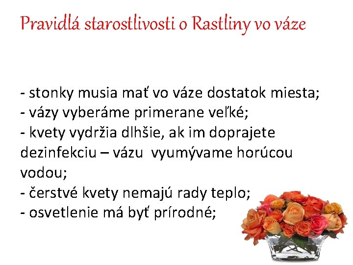 Pravidlá starostlivosti o Rastliny vo váze - stonky musia mať vo váze dostatok miesta;