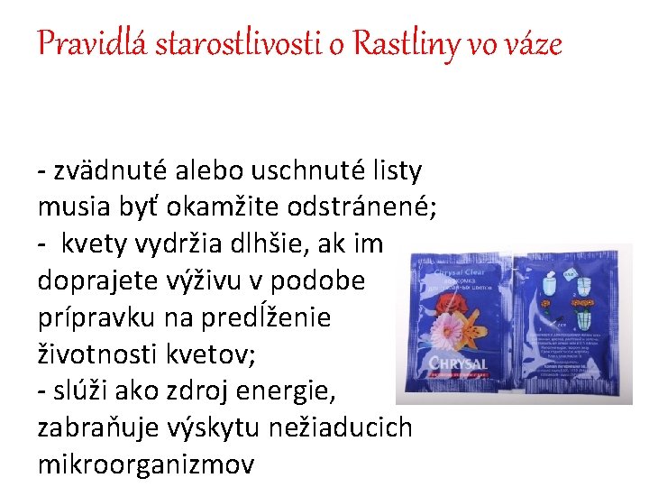 Pravidlá starostlivosti o Rastliny vo váze - zvädnuté alebo uschnuté listy musia byť okamžite