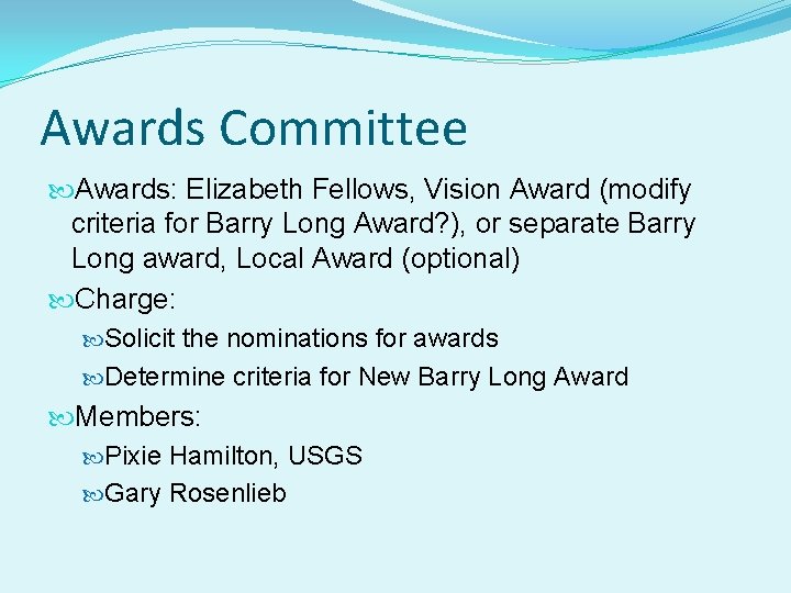 Awards Committee Awards: Elizabeth Fellows, Vision Award (modify criteria for Barry Long Award? ),