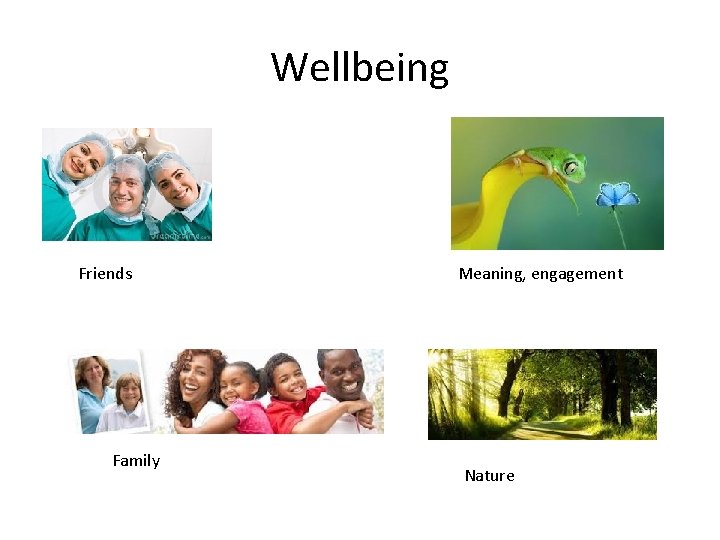 Wellbeing Friends Family Meaning, engagement Nature 