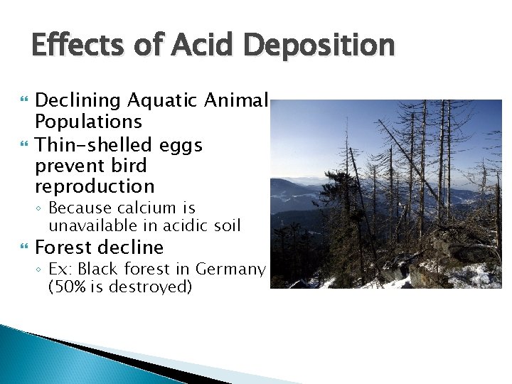 Effects of Acid Deposition Declining Aquatic Animal Populations Thin-shelled eggs prevent bird reproduction ◦