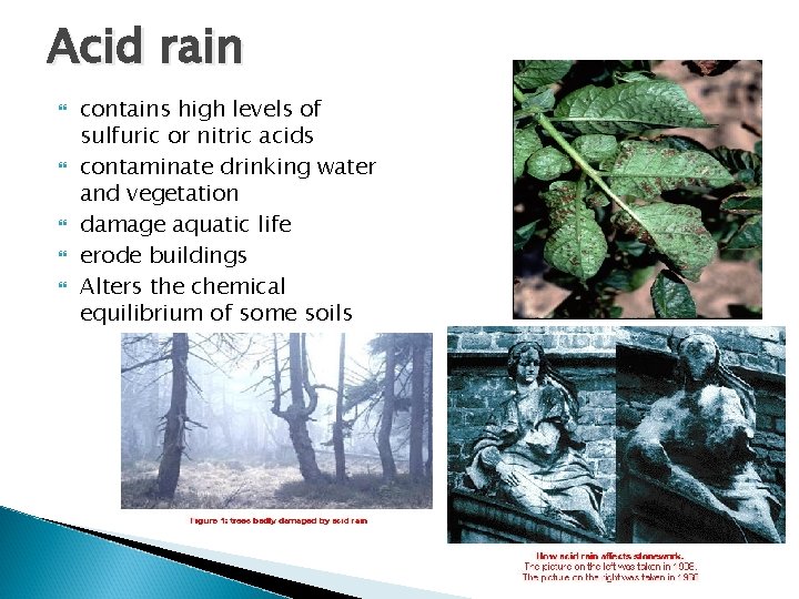 Acid rain contains high levels of sulfuric or nitric acids contaminate drinking water and