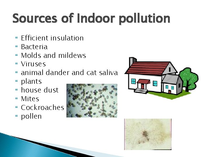 Sources of Indoor pollution Efficient insulation Bacteria Molds and mildews Viruses animal dander and