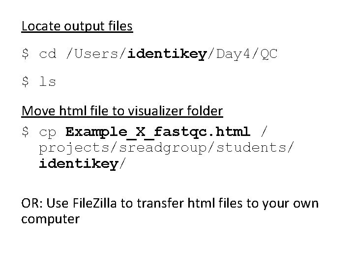 Locate output files $ cd /Users/identikey/Day 4/QC $ ls Move html file to visualizer