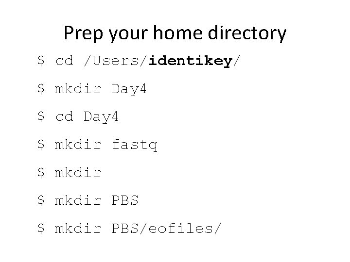 Prep your home directory $ cd /Users/identikey/ $ mkdir Day 4 $ cd Day