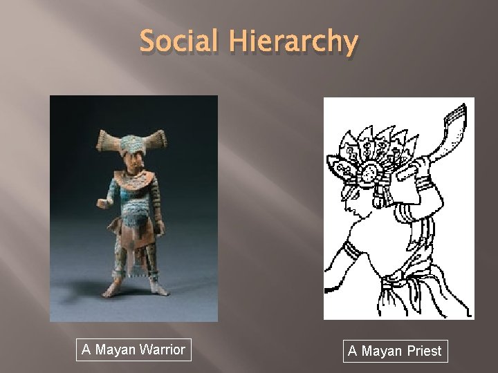 Social Hierarchy A Mayan Warrior A Mayan Priest 