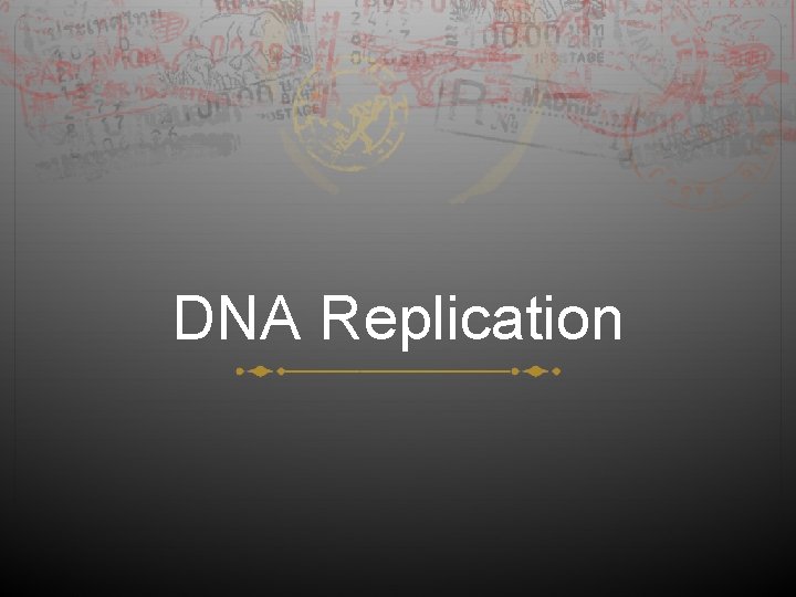 DNA Replication 