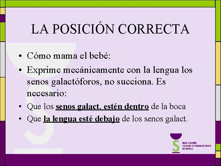 LA POSICIÓN CORRECTA • Cómo mama el bebé: • Exprime mecánicamente con la lengua