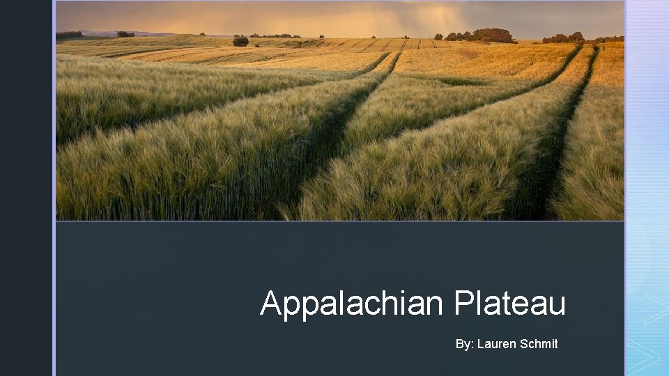 z Appalachian Plateau By: Lauren Schmit 