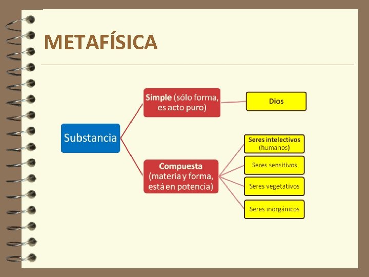 METAFÍSICA METAFÍSICA