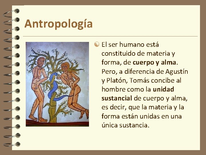 Antropología El ser humano está constituido de materia y forma, de cuerpo y alma. Antropología El ser humano está constituido de materia y forma, de cuerpo y alma.