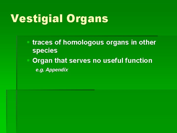 Vestigial Organs § traces of homologous organs in other species § Organ that serves