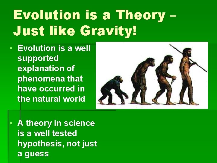 Evolution is a Theory – Just like Gravity! • Evolution is a well supported