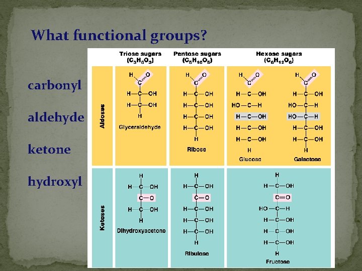 What functional groups? carbonyl aldehyde ketone hydroxyl 2005 -2006 