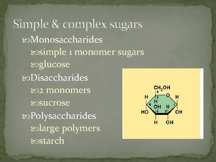 Simple & complex sugars Monosaccharides simple 1 monomer sugars glucose Disaccharides 2 monomers sucrose