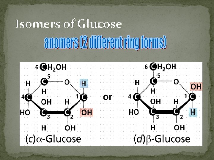 Isomers of Glucose 