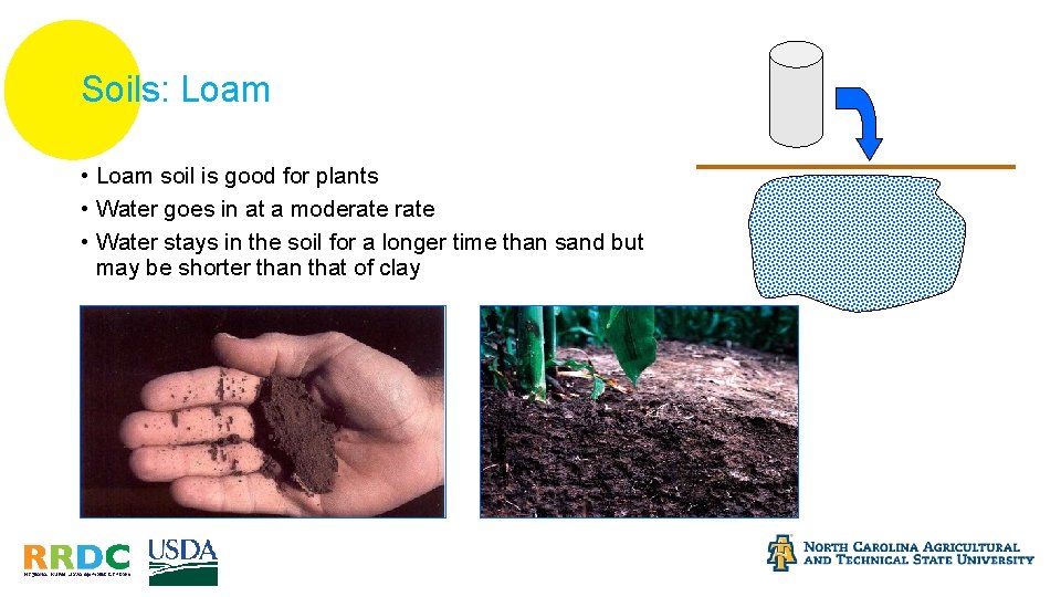 Soils: Loam • Loam soil is good for plants • Water goes in at