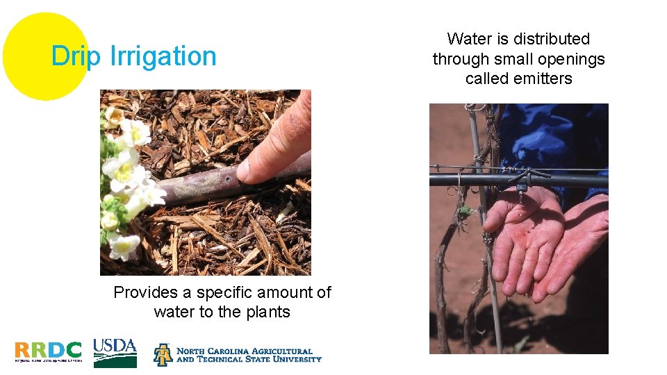 Drip Irrigation Provides a specific amount of water to the plants Water is distributed