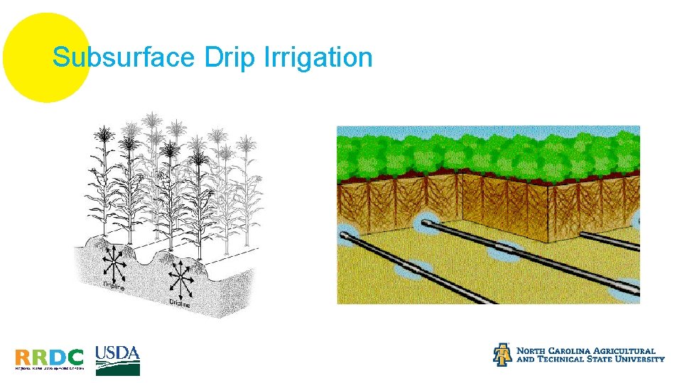 Subsurface Drip Irrigation 