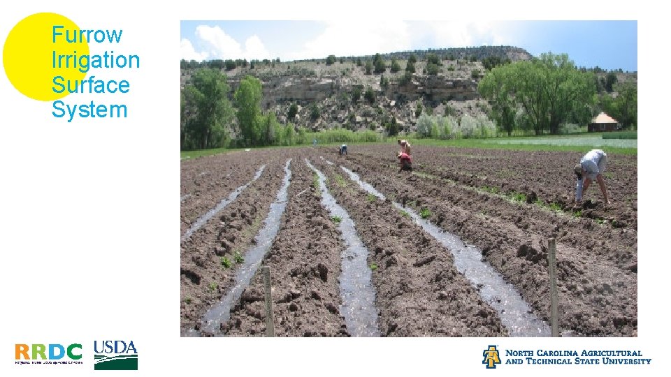 Furrow Irrigation Surface System 