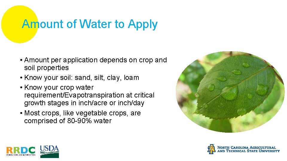 Amount of Water to Apply • Amount per application depends on crop and soil