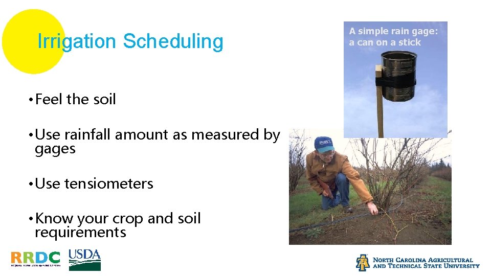 Irrigation Scheduling • Feel the soil • Use rainfall amount as measured by gages