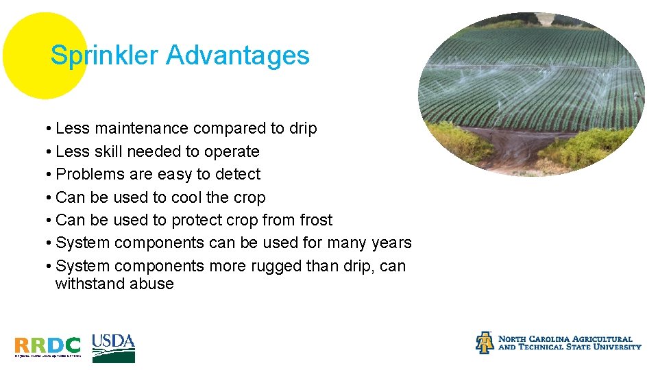 Sprinkler Advantages • Less maintenance compared to drip • Less skill needed to operate