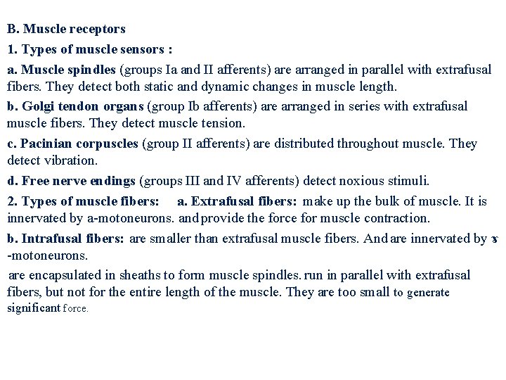 B. Muscle receptors 1. Types of muscle sensors : a. Muscle spindles (groups Ia