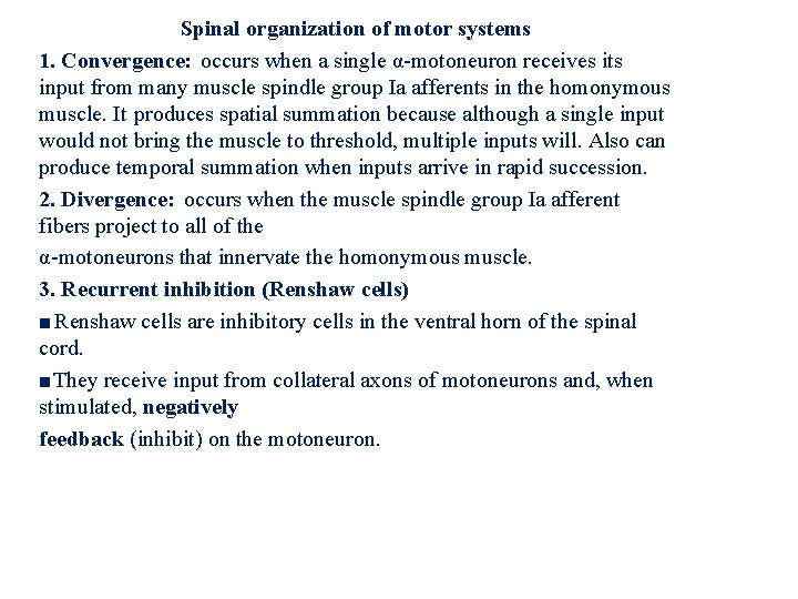 Spinal organization of motor systems 1. Convergence: occurs when a single α-motoneuron receives its